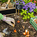 Gartenarbeit im Februar
