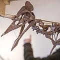 Der gr&ouml;&szlig;te jemals entdeckte Flugsaurier ist ab sofort im Dinosauriermuseum Altm&uuml;hltal zu bestaunen. Entdeckt wurde er in Rum&auml;nien. Foto: Armin Weigel/dpa
