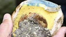 Der Wurzelnde Bitterröhrling verfärbts isch an der Schnittstelle bläulich-grün.