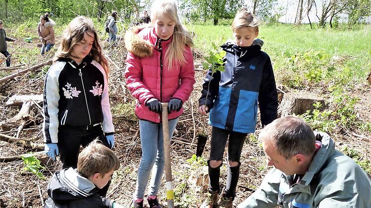 Forstbeamter Steffen Auerswald zeigt den Schülern, wie gepflanzt wird.