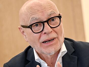 Di Fabio: Zeit für ein AfD-Verbot noch nicht reif