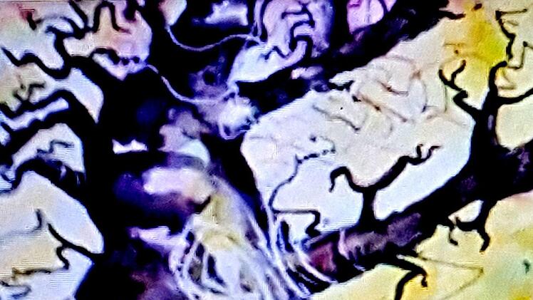 Renate Skoberla aus Eltmann erlebt in der Ausführung, wie sich die Bewegung von außen nach innen wendet.