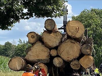 Kronach: Holztransporter massiv überladen, gestoppt und angezeigt Kronach: Holztransporter massiv überladen, gestoppt und angezeigt