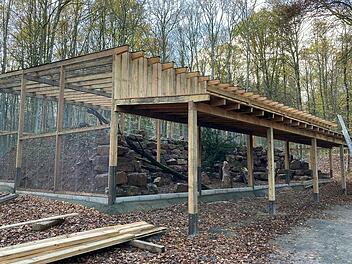 Schon bald können die Uhus im Wildpark Klaushof ins neue Gehege einziehen.