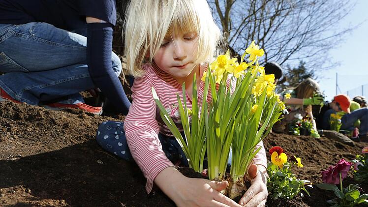 Blumen pflanzen mit den Garten- und Blumenfreunden Katschenreuth-Frankenberg Foto: Matthias Hoch