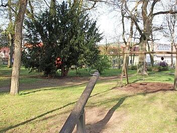 Der Kinderspielplatz im Hindenburgpark soll noch in diesem Jahr verbessert werden. Das ist der Wunsch des Jugendreferenten. Foto: Heike Beudert