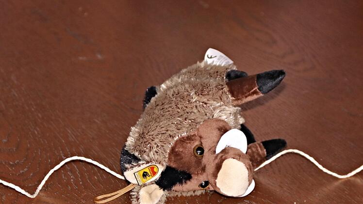 "Grenzjagd": Bürgermeister Harald Pascher demonstrierte, wie es zum Stadtwappen von Ebern gekommen sein soll. Foto: Helmut Will