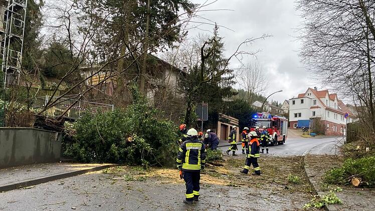 Bad Kissingen: Großer Baum stürzt auf wichtige Straße nähe des Krankenhauses - Rettungswagen blockiert