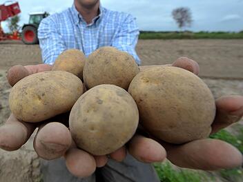Symbolbild der Kartoffelernte (Foto: Armin Weigel/dpa)