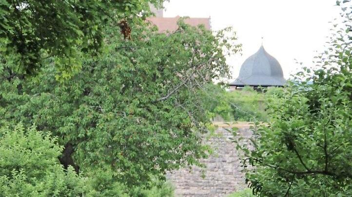 Im Buchwald hinter der Plassenburg gibt es viel zu entdecken. Fotos: Katharina Müller-Sanke