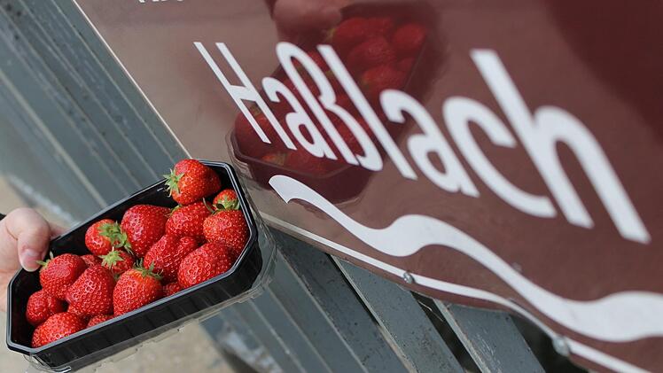 Herman Bayer von "Bayer's Franken-Erdbeeren" hat einen Antrag für Wasserentnahme aus der Haßlach gestellt. Von Stadtrat Hans-Georg Simon erntet er dafür harsche Kritik. Foto: Marian Hamacher