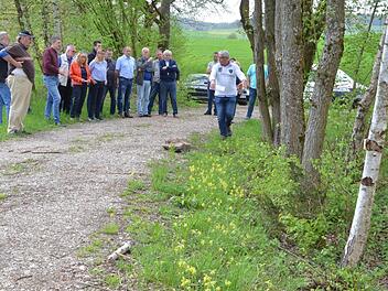 Dass Bäume im Graben stehen, wie bei Schönstädt, heißt für den Bausenat noch lange nicht, dass sie gefällt werden müssen. Rainer Lutz