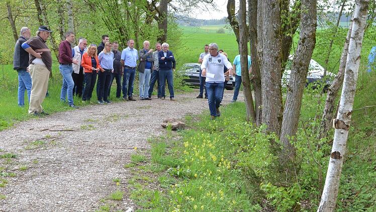 Dass Bäume im Graben stehen, wie bei Schönstädt, heißt für den Bausenat noch lange nicht, dass sie gefällt werden müssen. Rainer Lutz