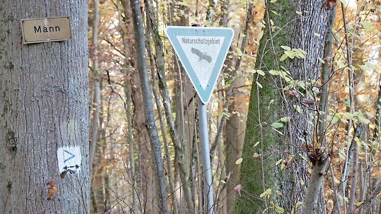 Demnächst soll es neue Informationsschilder geben, die Wanderer über die Naturwaldreservate aufklären. Foto: Heike Beudert