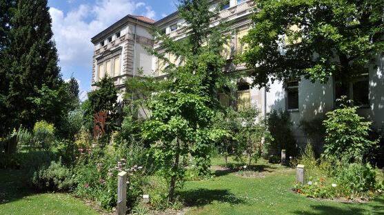 Der Arzneipflanzengarten. Foto: Botanischer Garten der FAU.