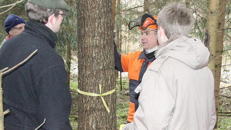 Am Stamm erkennt man die Gesundheit des Baumes.