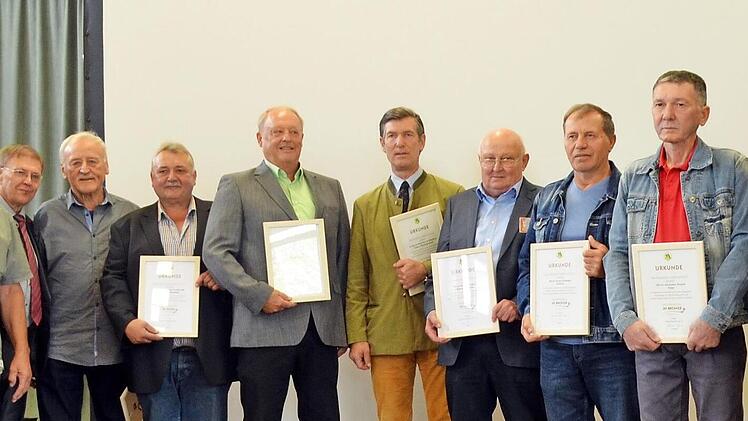 Die geehrten Mitglieder mit Zweitem Vorsitzenden Markus Sperber (links), Erstem Vorsitzenden Peter Ladegast (Dritter von links) und der Bayerischen Honigprinzessin Doris Grünbauer (rechts)  Foto: Thomas Micheel