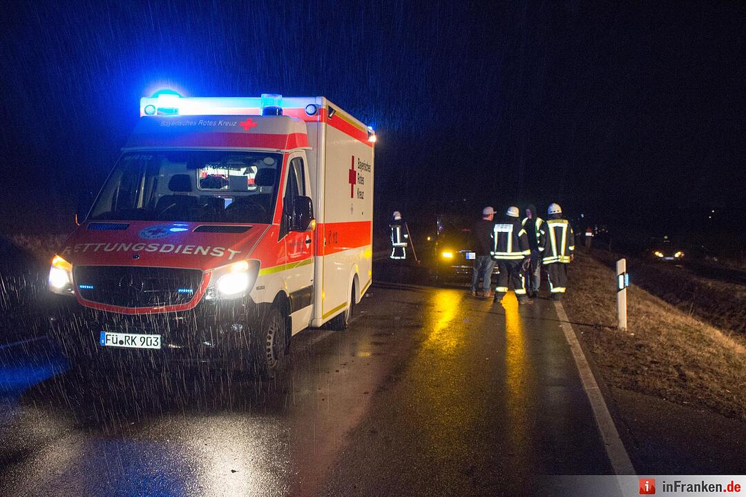 Über 30 Schafe tot: Autos fahren in ausgerissene Herde