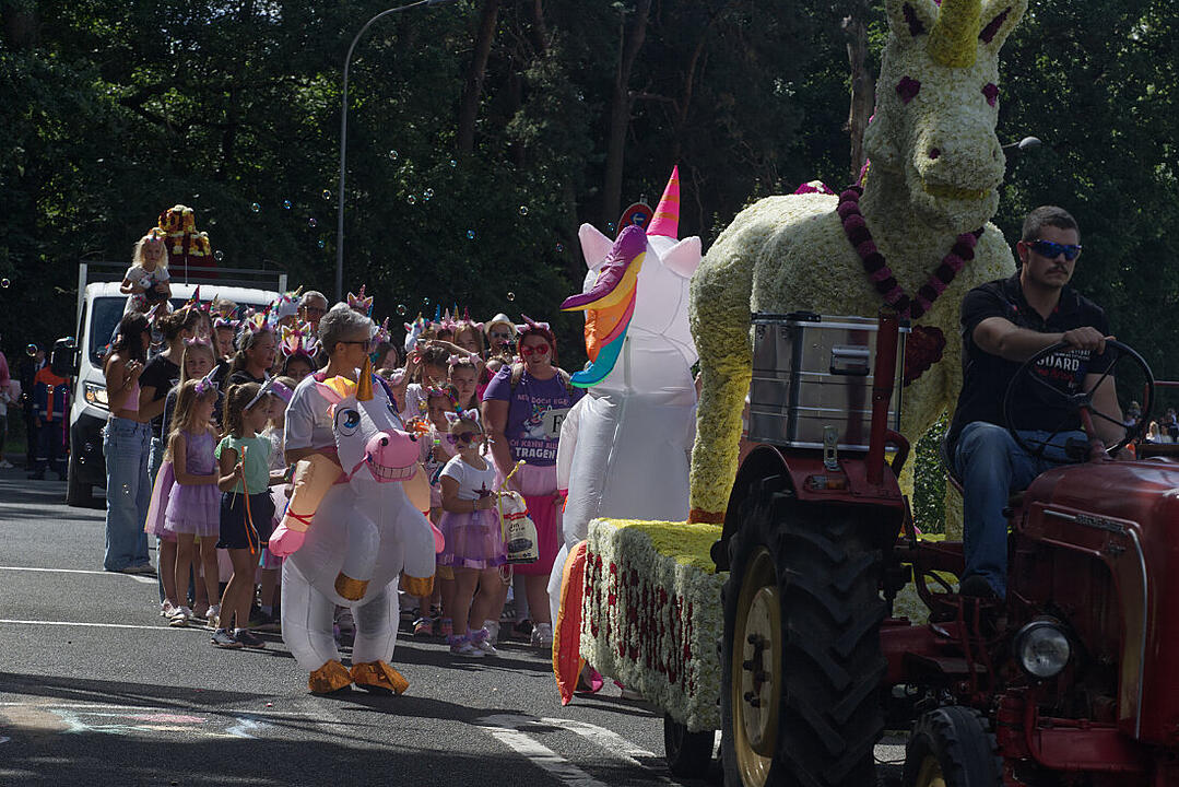 Das Fest der 500.000 Dahlien.