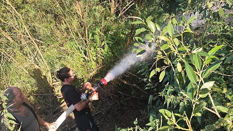 Feuerwehr G&ouml;&szlig;weinstein mit ungew&ouml;hnlichem Einsatz: "Natur ruft um Hilfe"
