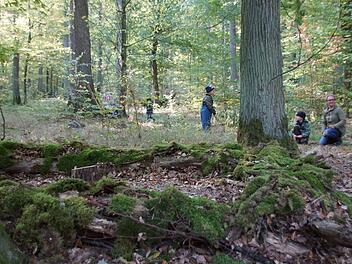 Sehr gut angelaufen ist das "Trekkingerlebnis Steigerwald". Zahlreiche Tourengänger haben die Übernachtungsmöglichkeiten im Wald bereits gebucht und auch Kindergärten nutzen die waldpädagogischen Elemente der Plätze gerne. Hier der Platz bei Limbach, wo der Kindergarten schon immer seine Waldtage veranstaltet. Dabei entstand auch ein sehr gemütliches "Waldsofa", das jetzt auch die Trekker gerne nutzen dürfen. Foto: Sabine Weinbeer
