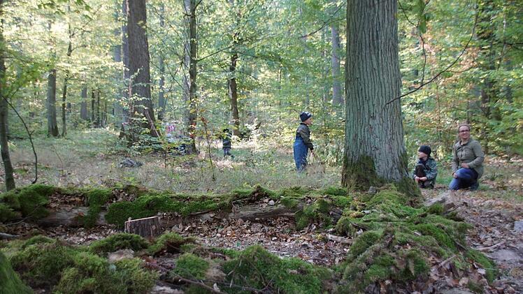 Sehr gut angelaufen ist das "Trekkingerlebnis Steigerwald". Zahlreiche Tourengänger haben die Übernachtungsmöglichkeiten im Wald bereits gebucht und auch Kindergärten nutzen die waldpädagogischen Elemente der Plätze gerne. Hier der Platz bei Limbach, wo der Kindergarten schon immer seine Waldtage veranstaltet. Dabei entstand auch ein sehr gemütliches "Waldsofa", das jetzt auch die Trekker gerne nutzen dürfen. Foto: Sabine Weinbeer