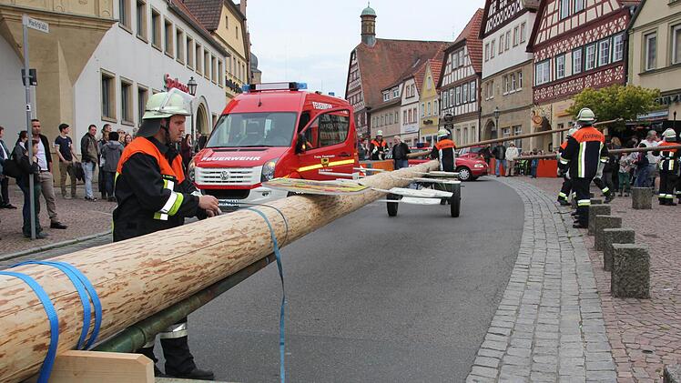 Wieder daheim, das gute Stück. Sicherlich sorgsam ausgewählt vom Förster der Stadt, der wiederum in Lind, also auf halber Strecke zwischen Ebern und Treinfeld, daheim ist,Foto: Ralf Kestel