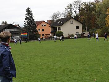 Seit 2014 wird  (nach fünfjähriger Pause wegen Spielermangels) auch wieder Fußball gespielt beim FC Trieb. Vorsitzende Susanne Kraus freut sich darüber - und nicht nur sie.Waltraud Schramm