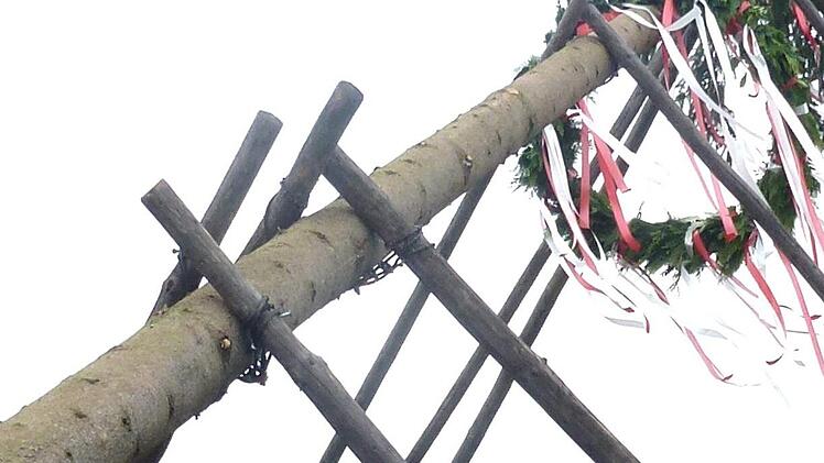 Der 28. Baum wird in Burgstall in die Senkrechte gebracht.  Foto: Richard Sänger