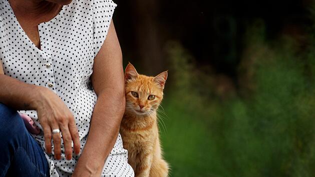 Ob Hund oder Katze: Das Haustier begleitet dich oft einen gro&szlig;en Teil deines Lebens.