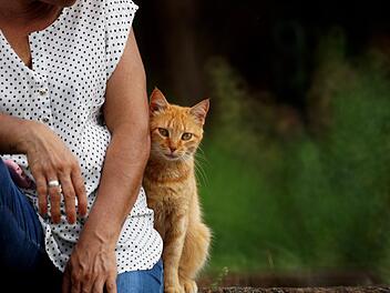 Ob Hund oder Katze: Das Haustier begleitet dich oft einen großen Teil deines Lebens.