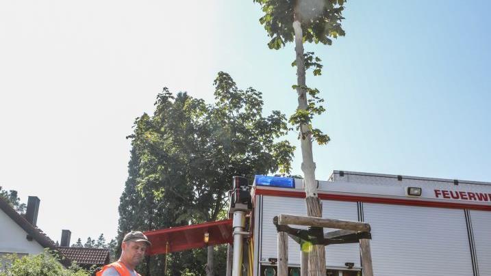 Günther Dotterweich (links) und Florian Böhm sind städtische Mitarbeiter und zugleich bei der Feuerwehr Forchheim aktiv. Gestern waren sie mit dem Tanklöschfahrzeug der Wehr in Kersbach unterwegs, um im Irlrinnig die Ahorn-Bäumchen zu bewässern.Barbara Herbst