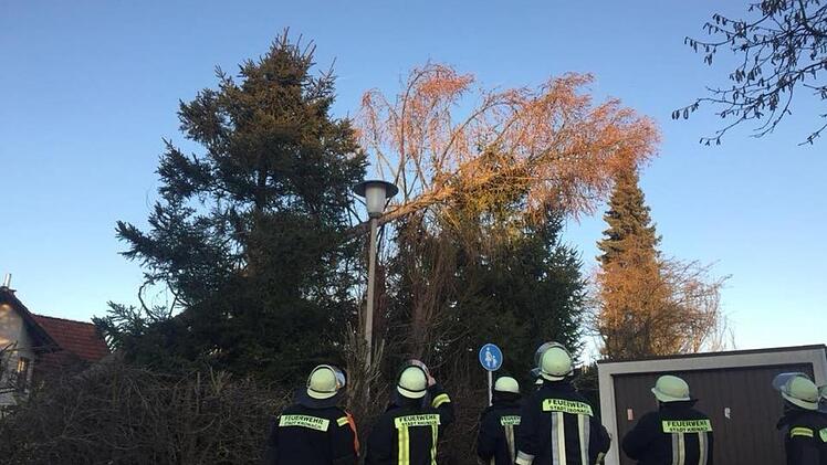 Im Bereich Kreuzberg musste sich die Kronacher Feuerwehr um diesen Baum kümmern, der über einen Fußgängerweg hing. Foto: Feuerwehr Kronach