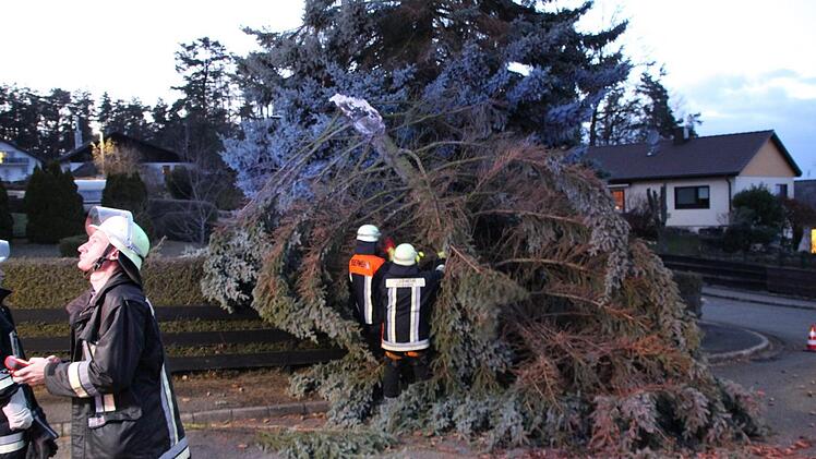 Dieser Baum stürzte im Weisendorfer Ortsteil Reuth um.