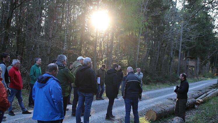 Waldbegang