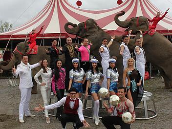Die Stars der Manege, die mit dem Zirkus Charles Knie nach Bad Kissingen gekommen sind. Foto: Thomas Mäuser