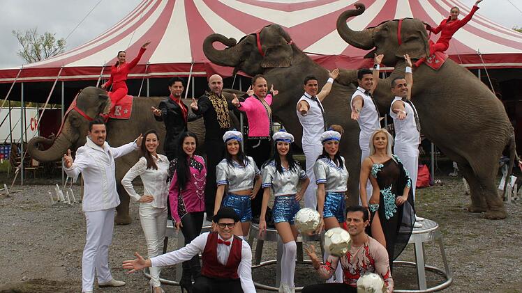 Die Stars der Manege, die mit dem Zirkus Charles Knie nach Bad Kissingen gekommen sind. Foto: Thomas Mäuser