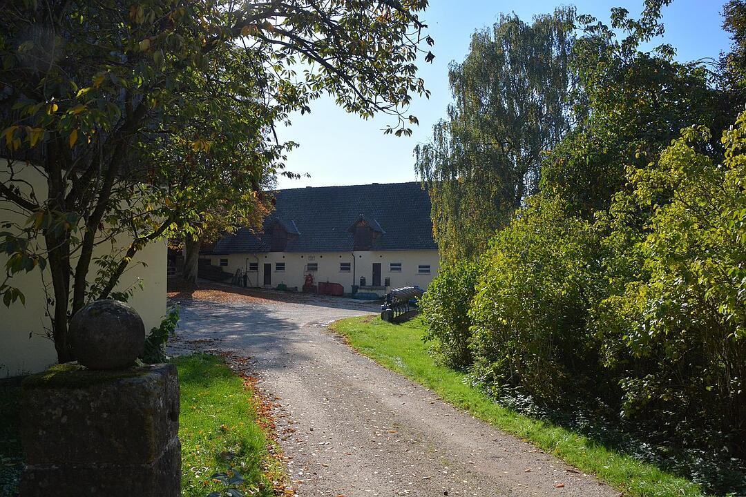 18.11.2015  Fotoreportage Moggenbrunn