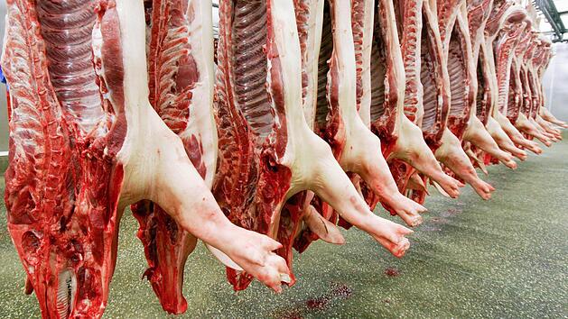 Schweineh&auml;lften h&auml;ngen am 22.12.2005 in einem Schlachthof in Mannheim (Baden-W&uuml;rttemberg). Foto: Ronald Wittek/dpa
