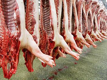 Schweinehälften hängen am 22.12.2005 in einem Schlachthof in Mannheim (Baden-Württemberg). Foto: Ronald Wittek/dpa