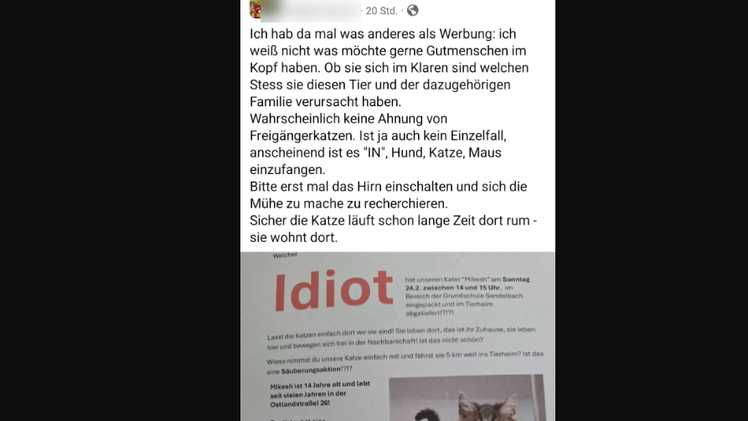 Frau gibt Freigängerkatze im Tierheim Lohr ab - Besitzer voller Wut