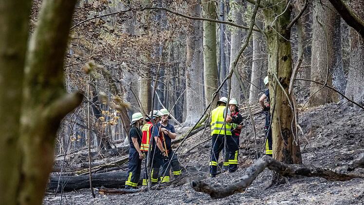 Waldbrand-Einsatz bei Waldaschaff bald beendet: Kreisbrandrat zufrieden