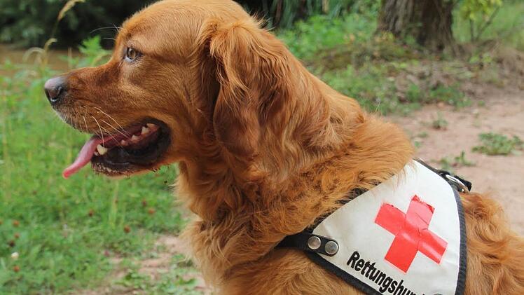 Seit drei Jahren ist Balou mit seinem Frauchen Nina Leisner im Rettungsdienst. Foto: Tina Meier