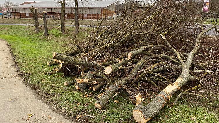 Kitzingen/Gro&szlig;langheim: Rodung wegen Kreiselbau - Vorarbeiten auf der Staatstra&szlig;e haben begonnen