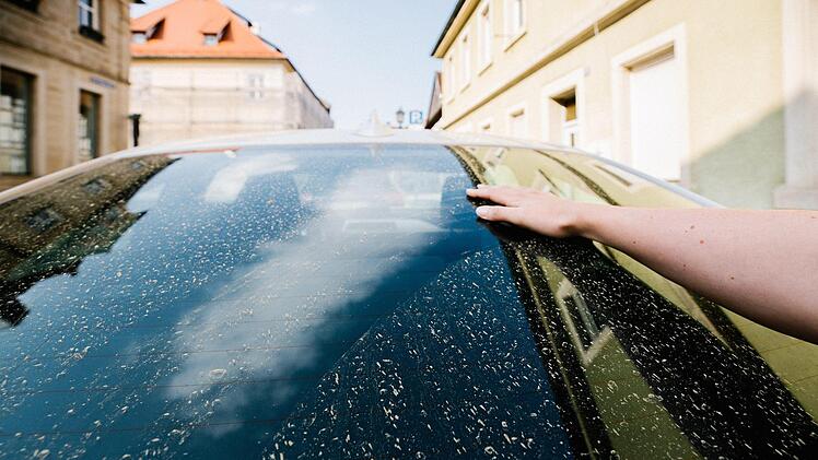Schon wenige Minuten reichen und die Windschutzscheide ist wieder übersät mit gelbem Blütenstaub. Vor der Fahrt sollte er aber nicht einfach mit dem Scheibenwischer entfernt werden. Foto: Marian Hamacher