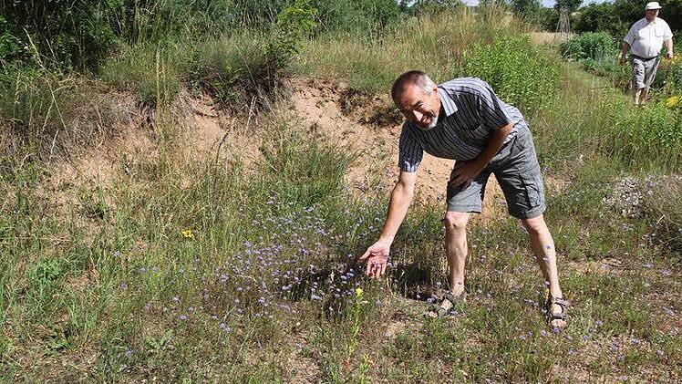 Der Naturgarten von Peter Hofmann und Petra Niedermeyer ist geprägt von Gemüseanbau und Wildwuchs. Foto: Mathias Erlwein