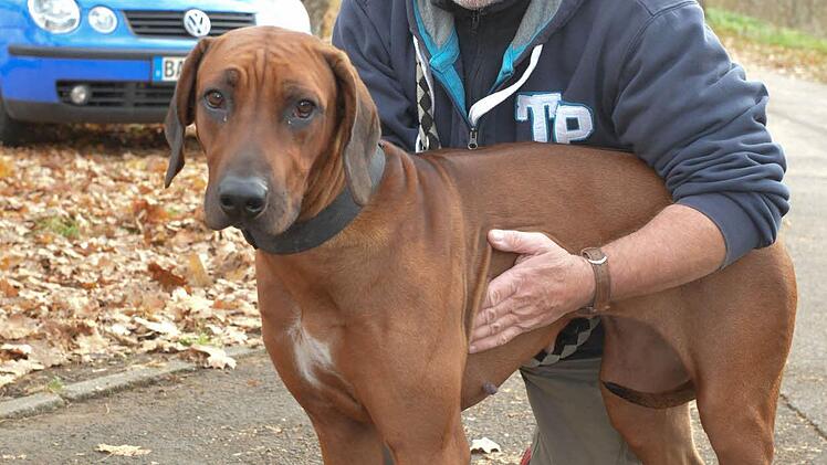 Lothar Zeise findet die Dog Stations toll.Foto: Ronald Rinklef