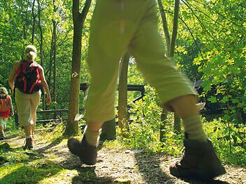 Gehen Sie mal wieder Wandern. Foto: Frankenwald Tourismus
