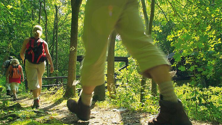 Gehen Sie mal wieder Wandern. Foto: Frankenwald Tourismus