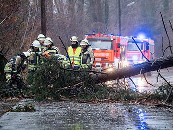 Einsatzkräfte der Feuerwehr entfernen einen durch das Sturmtief "Sabine" umgestürzten Baum von einer Straße. Auch dieses Wochenende wird es in Franken wieder sehr stürmisch.  Matthias Balk, dpa